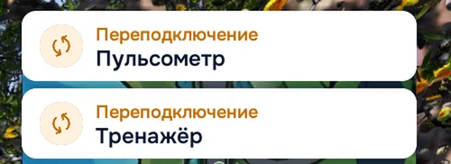 Карточки «Переподключение: Пульсометр» и «Переподключение: Тренажёр»